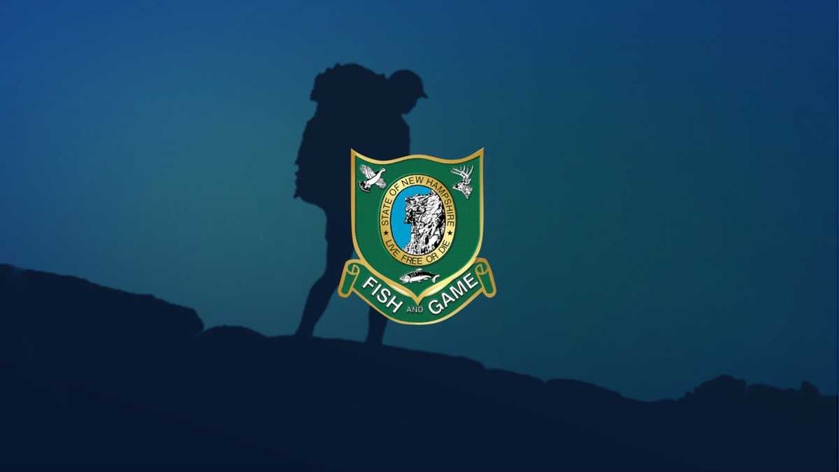 Boy Scouts help injured hiker down a New Hampshire mountain