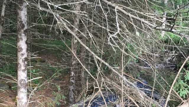 Vermont man killed in crash in Stewartstown, NH - Vimarsana News