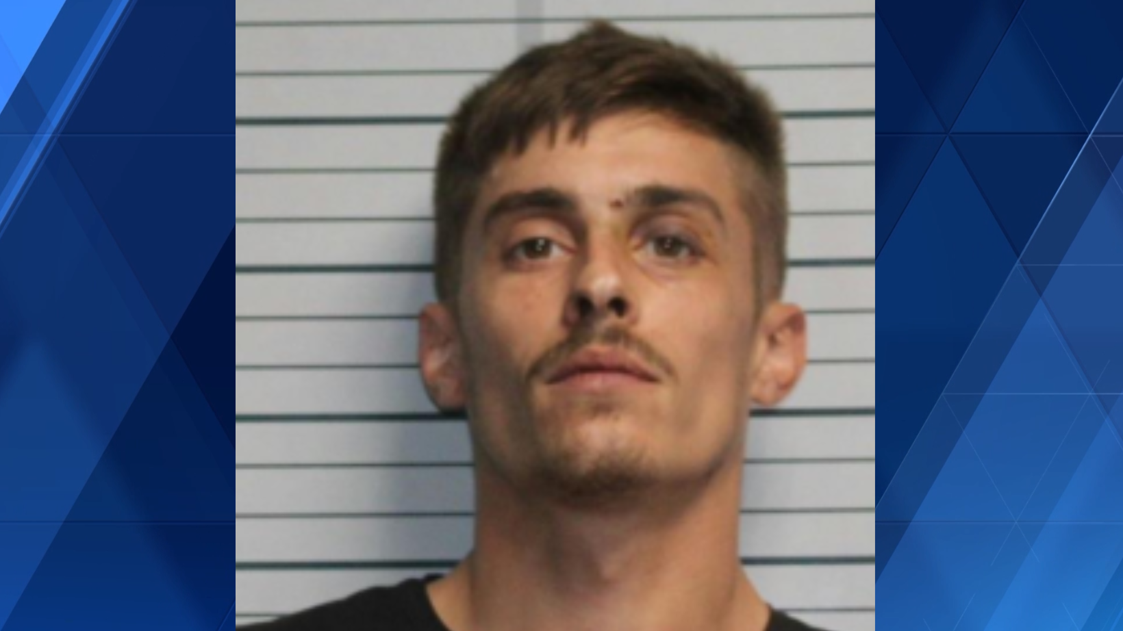 Sheriff: Wayne Township man accused of stabbing family dog to death - Vimarsana News