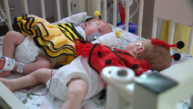 Ruth Lyons Children's Fund donations help make Halloween special for NICU babies, families - Vimarsana News