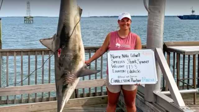 South Carolina teacher reels in 173-pound shark on fishing trip - Vimarsana News