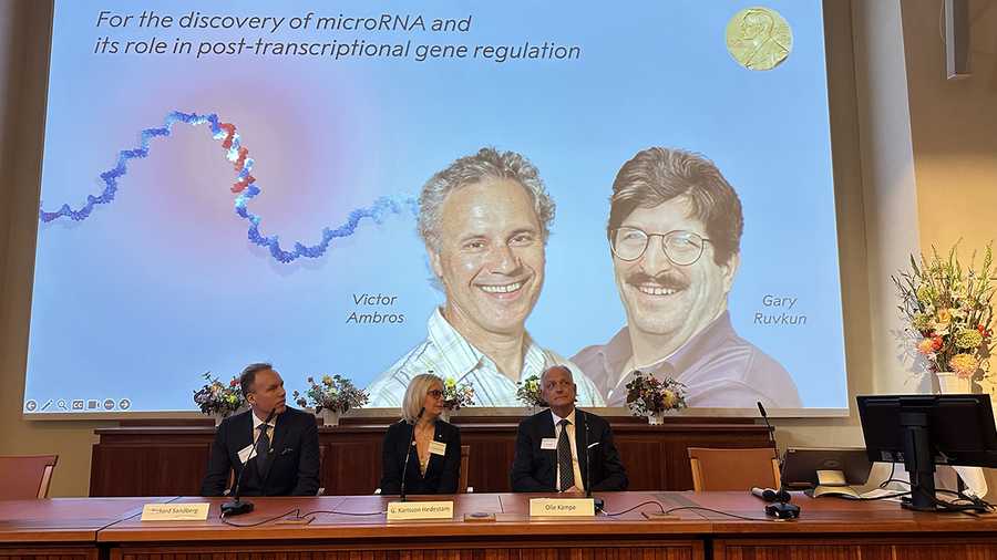 Victor Ambros, Gary Ruvkun win Nobel Prize in medicine