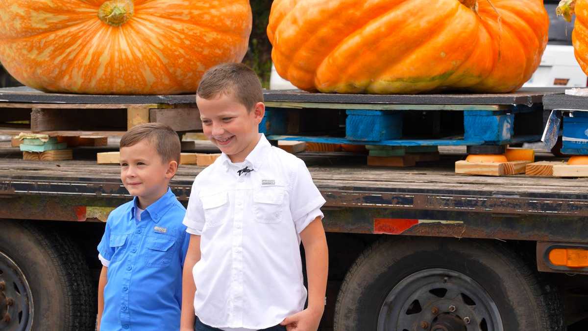 8 ginormous pumpkins arrive at Dollywood for Harvest Festival from Tazewell  County, VA family farm