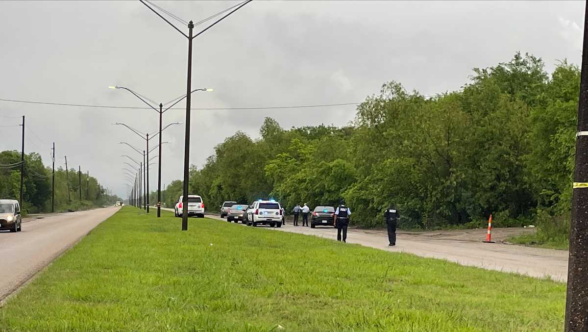 New Orleans Almonaster homicide