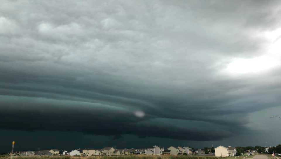 PHOTOS: Severe thunderstorms leaves damage across the metro