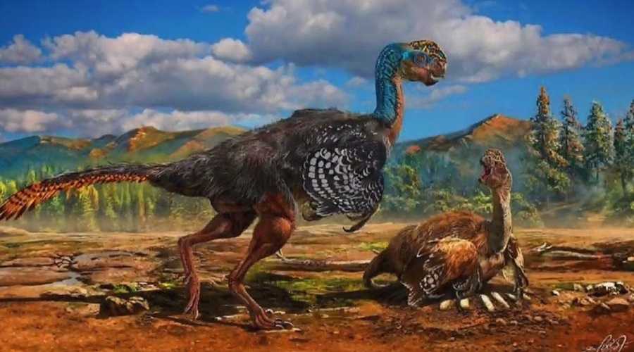 Oviraptorosaurs