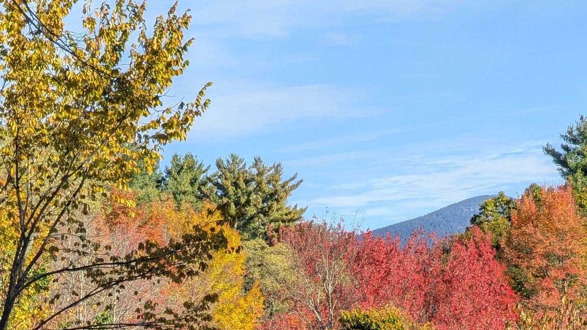 Survey: Despite drought, drop in visits from Canada, northern NH businesses report successful fall