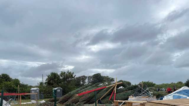 Florida winds damage rail crossings, Christmas tree lot and power lines - Vimarsana News