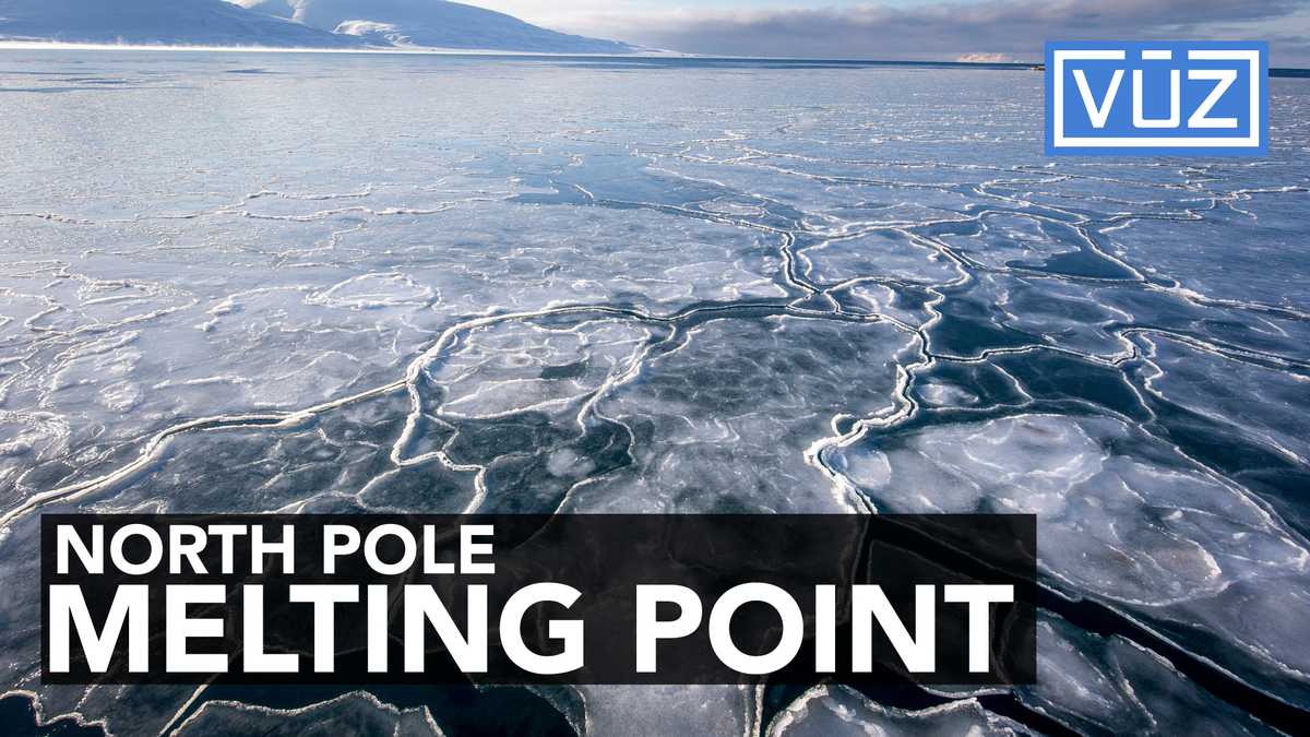 Temperatures in the North Pole are about 50° above normal.