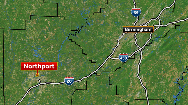 Northport pizza delivery driver robbed at gunpoint, two charged - Vimarsana News
