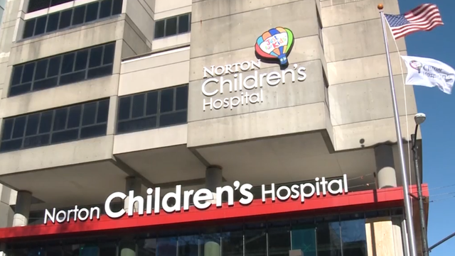 Toddler in critical condition following pool incident - Vimarsana News
