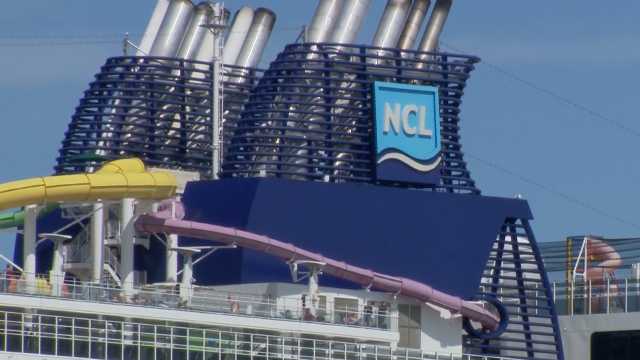 Cruise ship passenger rescued after falling overboard