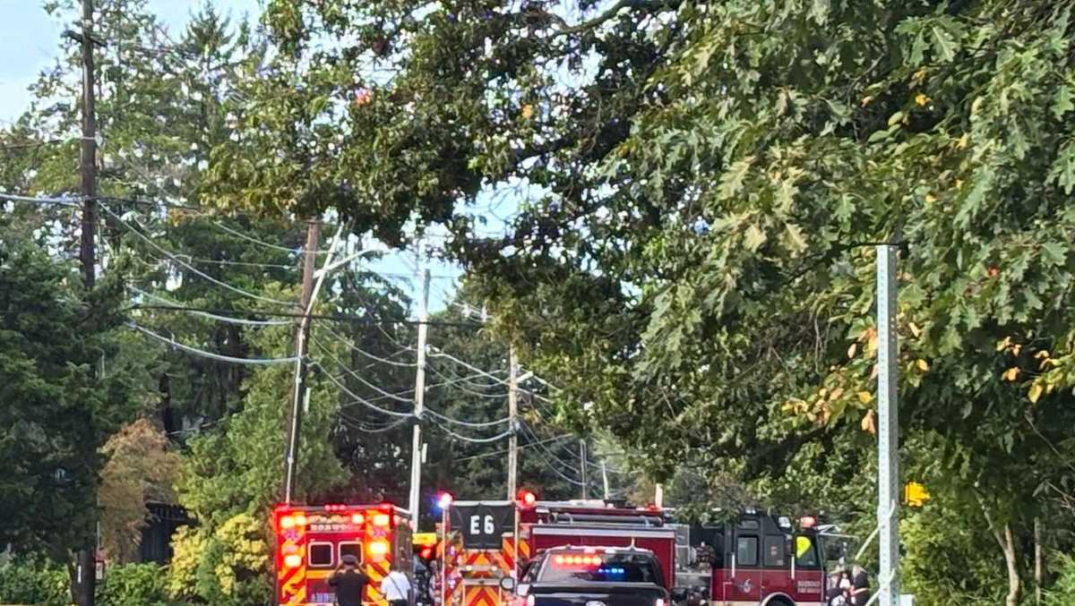 Cyclists Killed in Separate Strikes Waterloo, East Gwillimbury