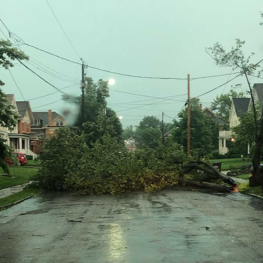 Severe storm damage in Norwood, Ohio.