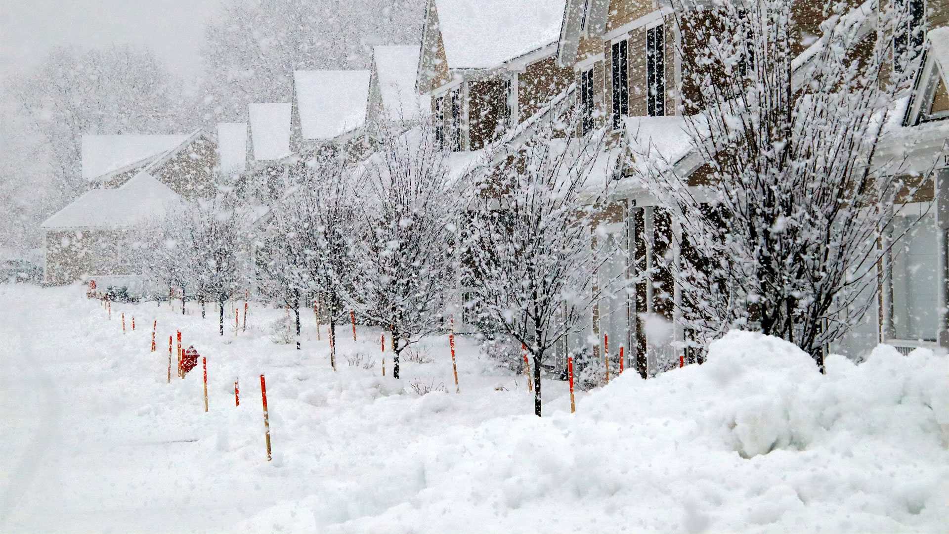 snowfall totals massachusetts 2015