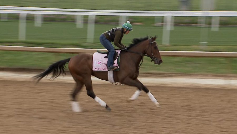 Meet the 2022 Kentucky Oaks horses