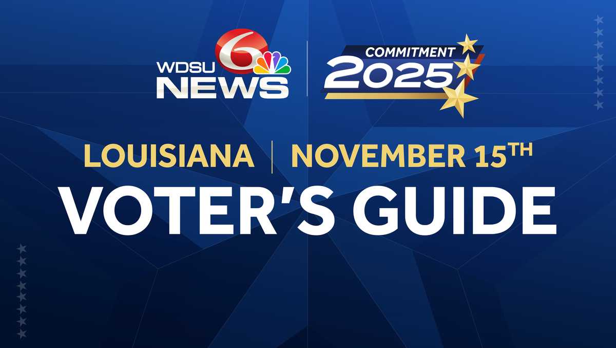 Here is everything you need to know about the Nov. 15 elections
