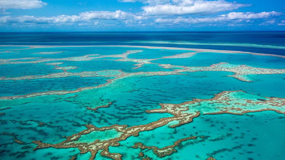 negative impacts of tourism on great barrier reef