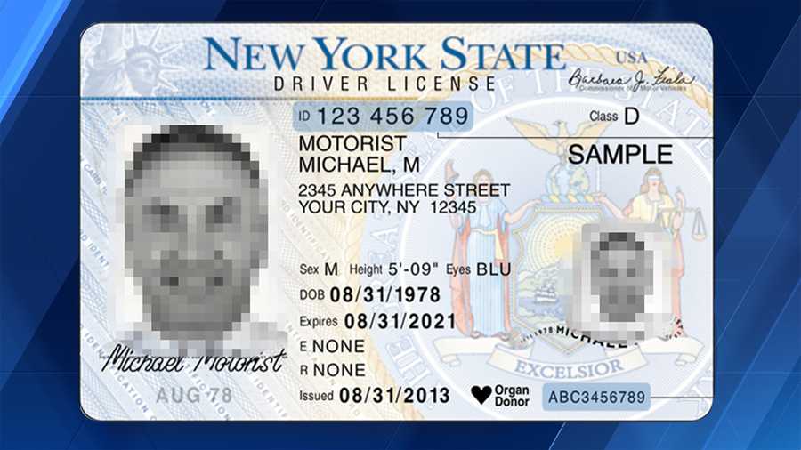 Sample driver license