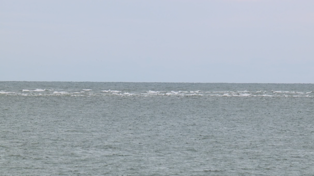 South Carolina: 70-year-old man drowns while saving grandson - Vimarsana News