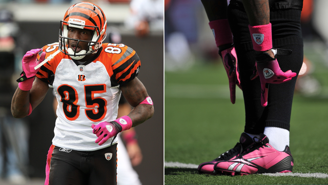 Bengals Fans Donate $28,015 to Fight Breast Cancer