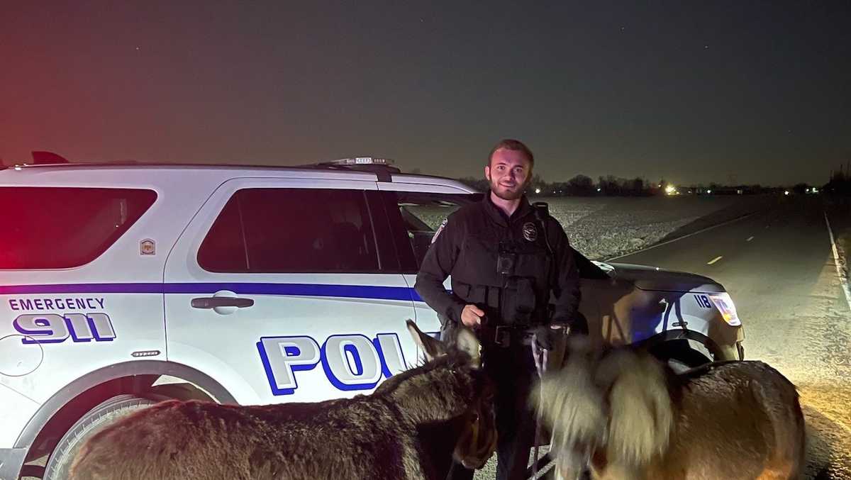 Ohio officer finds 2 escapees out on an overnight adventure