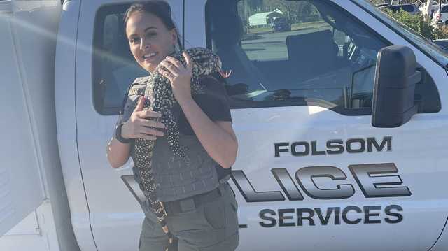 Folsom police find tegu lizard, ask for help finding its owner - Vimarsana News