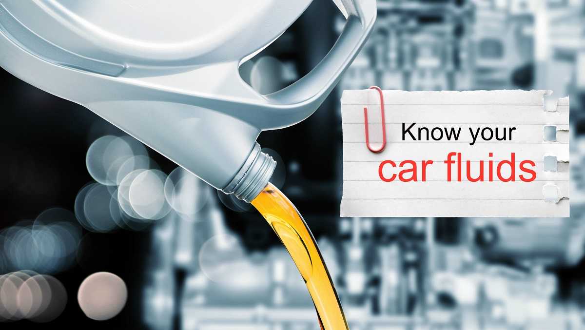 Important car fluids everyone should know