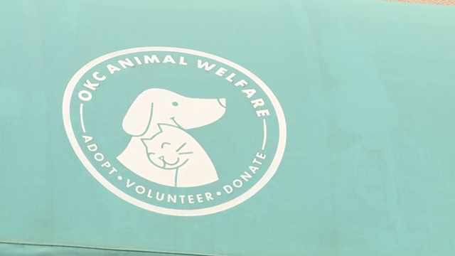 OKC Animal Welfare reminds dog owners of freezing temp ordinance - Vimarsana News