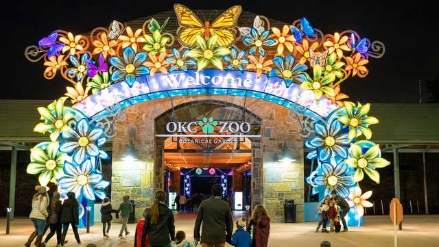 OKC Zoo bringing back Safari Lights for 2023 holiday season - Vimarsana News