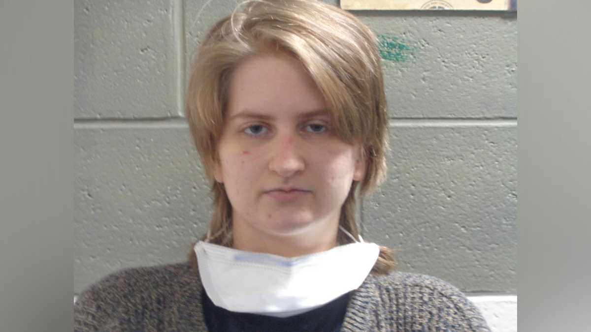 Maine woman accused of driving car toward Border Patrol agent pleads guilty