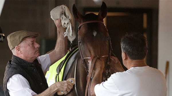 Omaha Beach Trainer Talks Decision To Scratch It Was Very