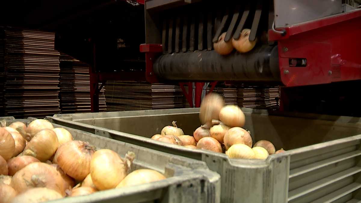 www.wjcl.com