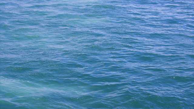 Swimmer drowns at popular waterfall in North Carolina - Vimarsana News