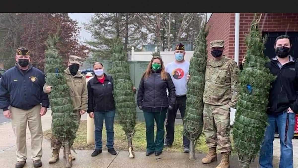 Massachusetts nonprofit donating Christmas trees to veterans