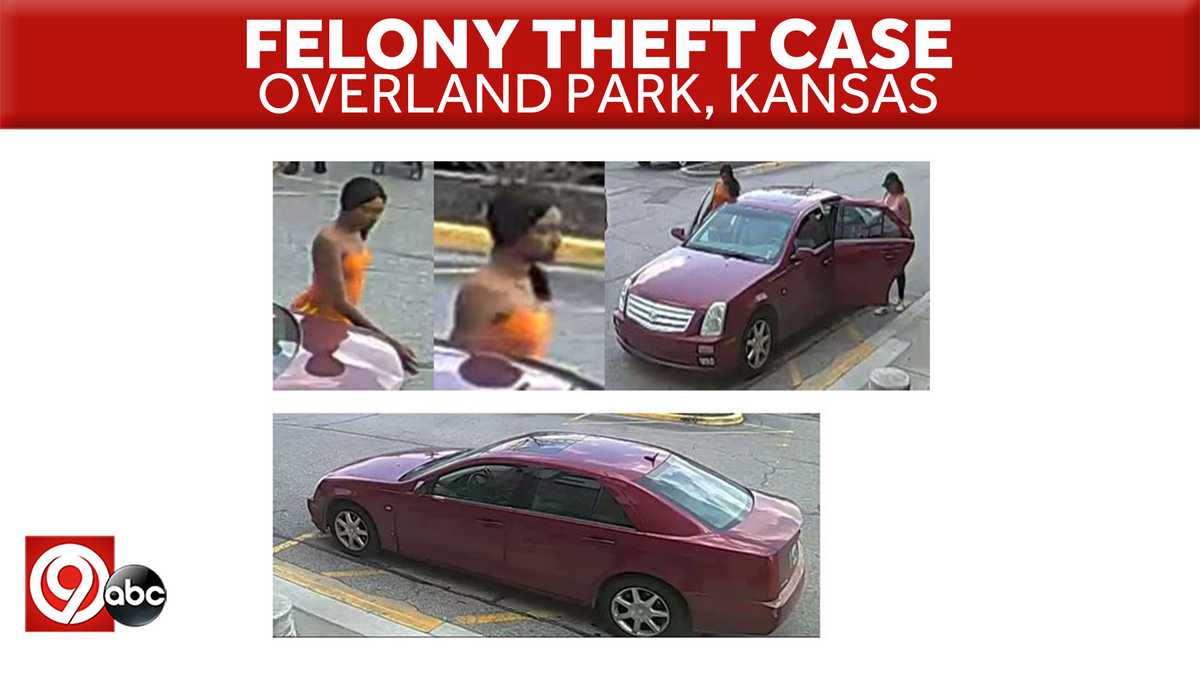 Overland Park Police Ask For Help In Felony Theft Case 2009