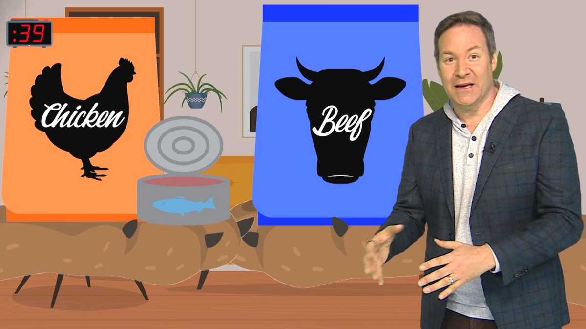 Rossen Reports How to save money on pet food as prices rise