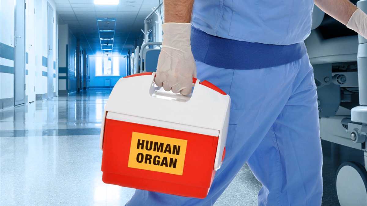 Organ donations throughout Nebraska hit all-time high in 2023