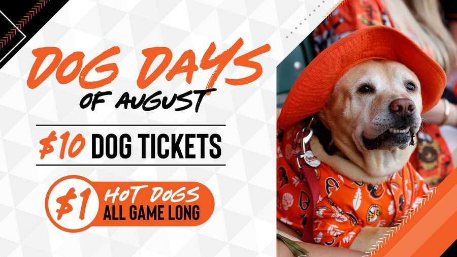 Orioles Dog Days of August