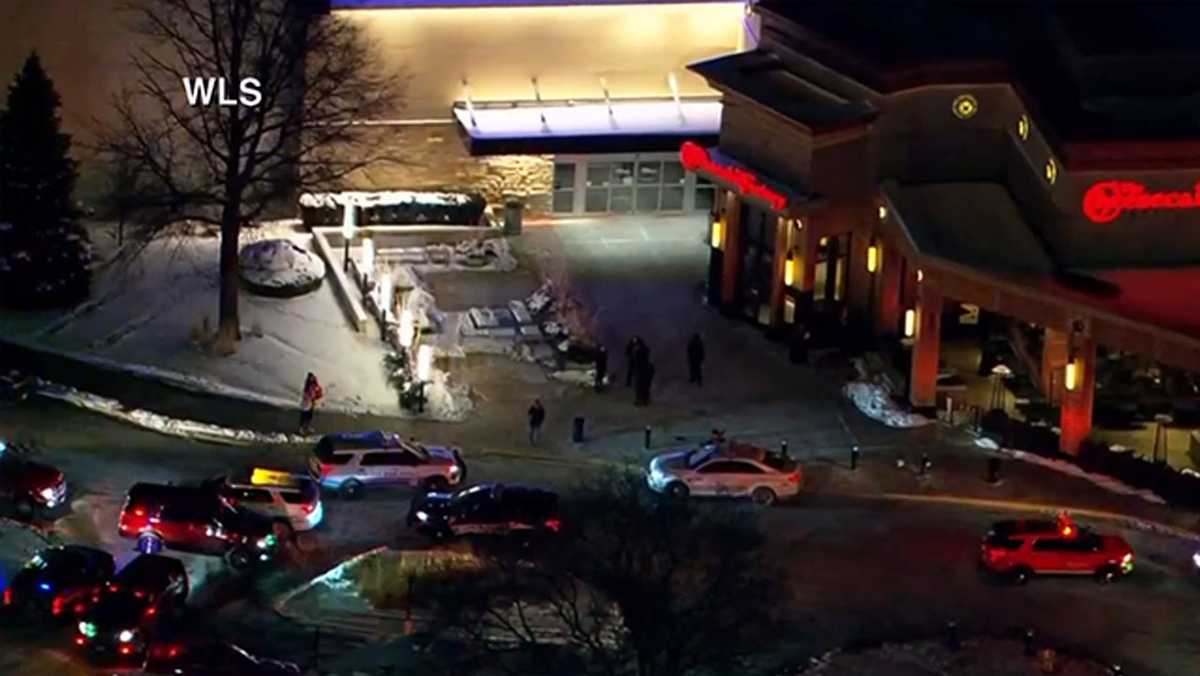 Teen shot at suburban Chicago mall; shooter at large, police say