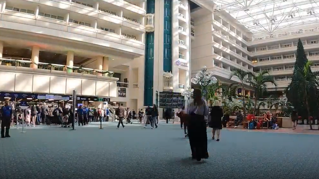Flight delays: Travelers see flights pushed back at MCO - Vimarsana News
