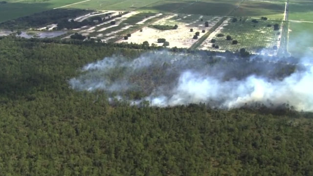 Brush fire ripping through cattle ranch in Osceola County - Vimarsana News