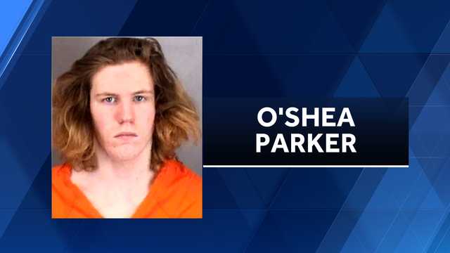 Nebraska teen tells police that he traded car for shotgun, handgun - Vimarsana News