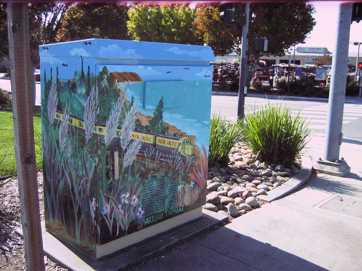 Santa Cruz County Parks seeking artists for several public art