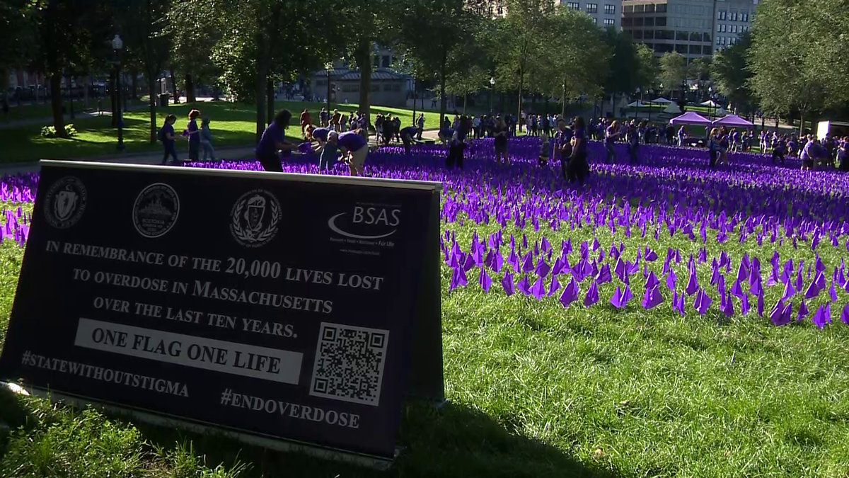 纪念马萨诸塞州因药物过量死亡的居民，树立2.2万个紫色旗帜