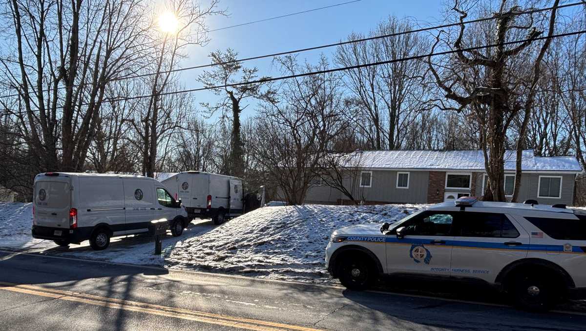 Man arrested in connection with Owings Mills double-stabbing