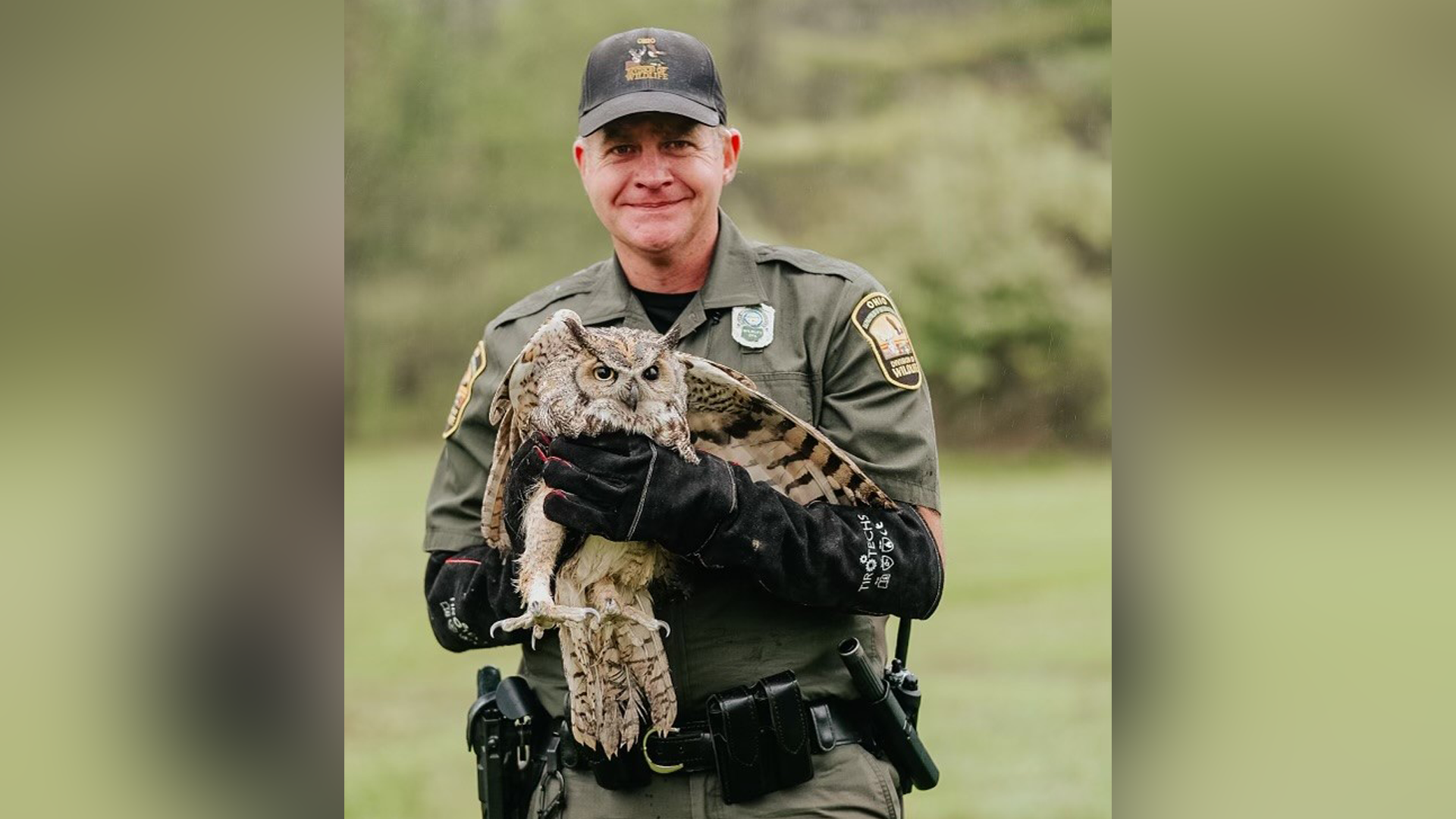 'Incredible experiences': Ohio wildlife officer rescues injured great horned owl - Vimarsana News