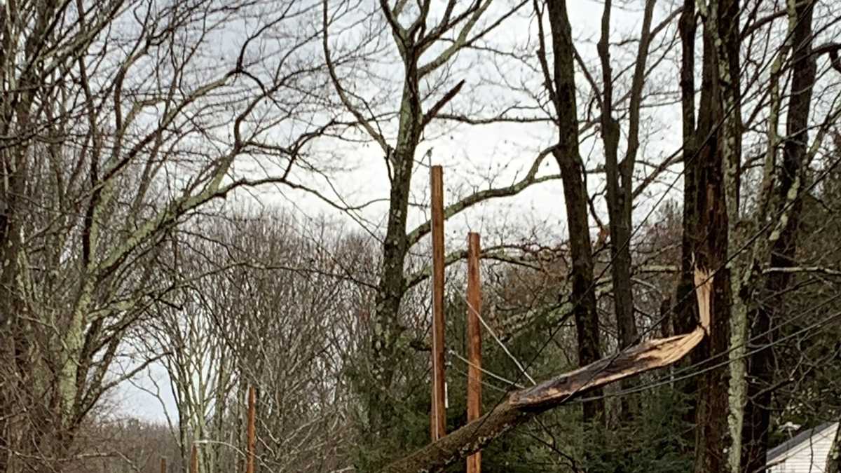 Strong winds bring down trees, crush vehicles, take out power lines