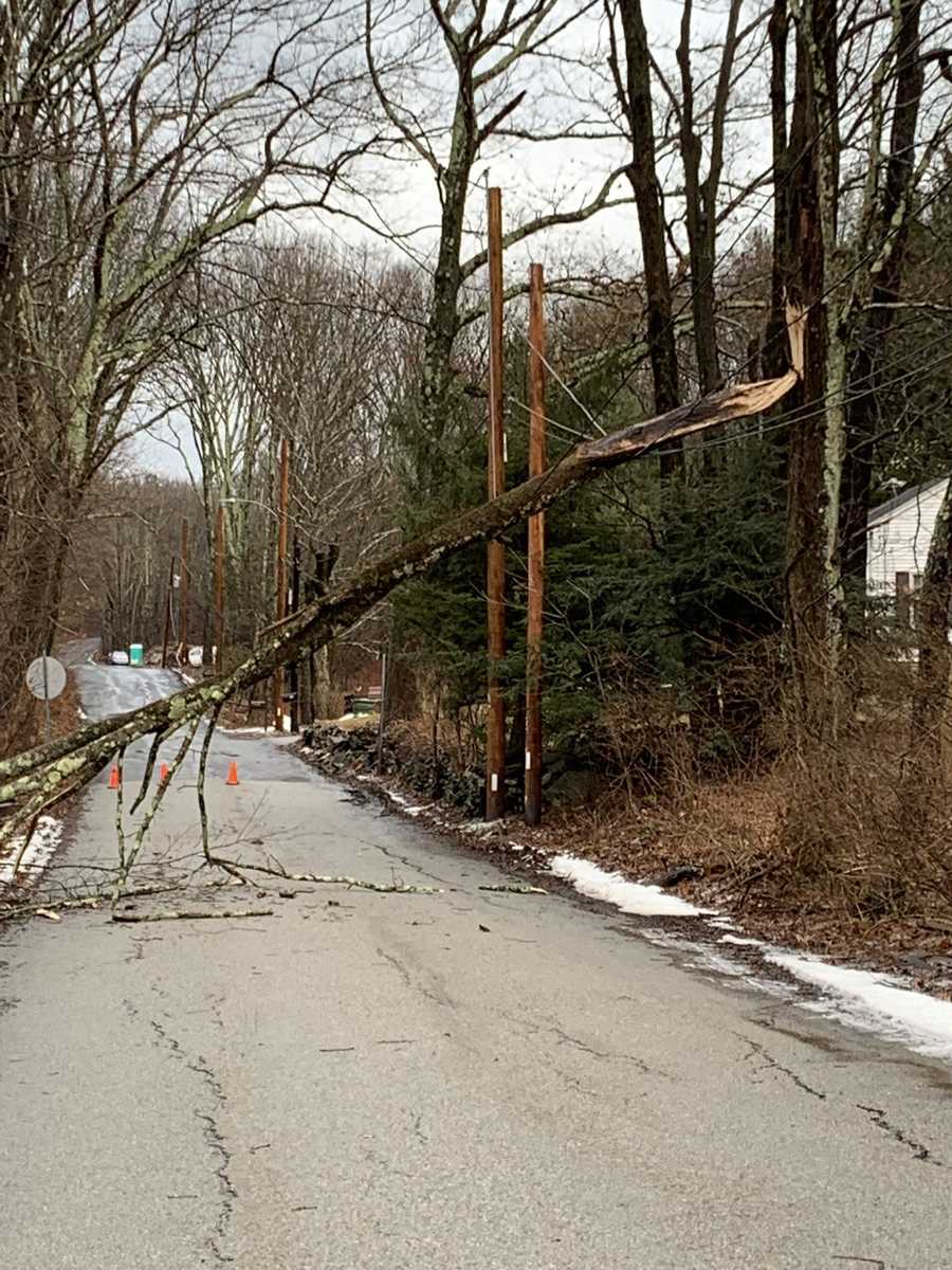 Strong winds bring down trees, crush vehicles, take out power lines