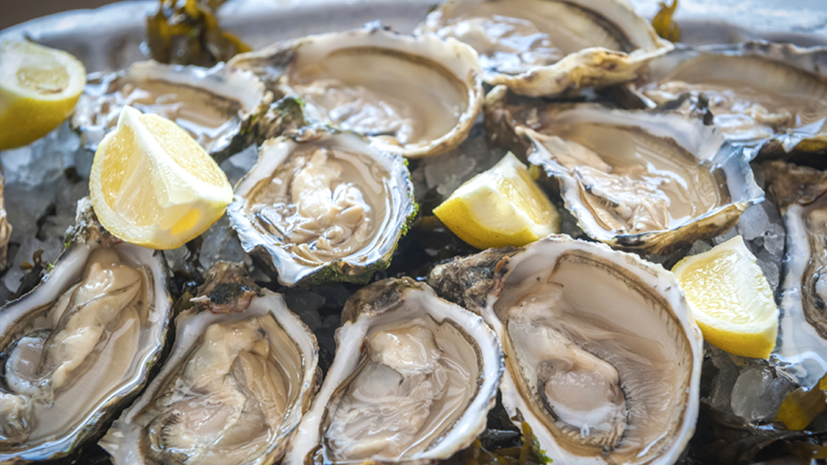 Man dies from bacterial infection after eating oyster in Sarasota